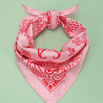 Paisley Scarf - Ana Patricia Boutique