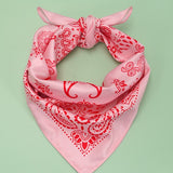 Paisley Scarf - Ana Patricia Boutique