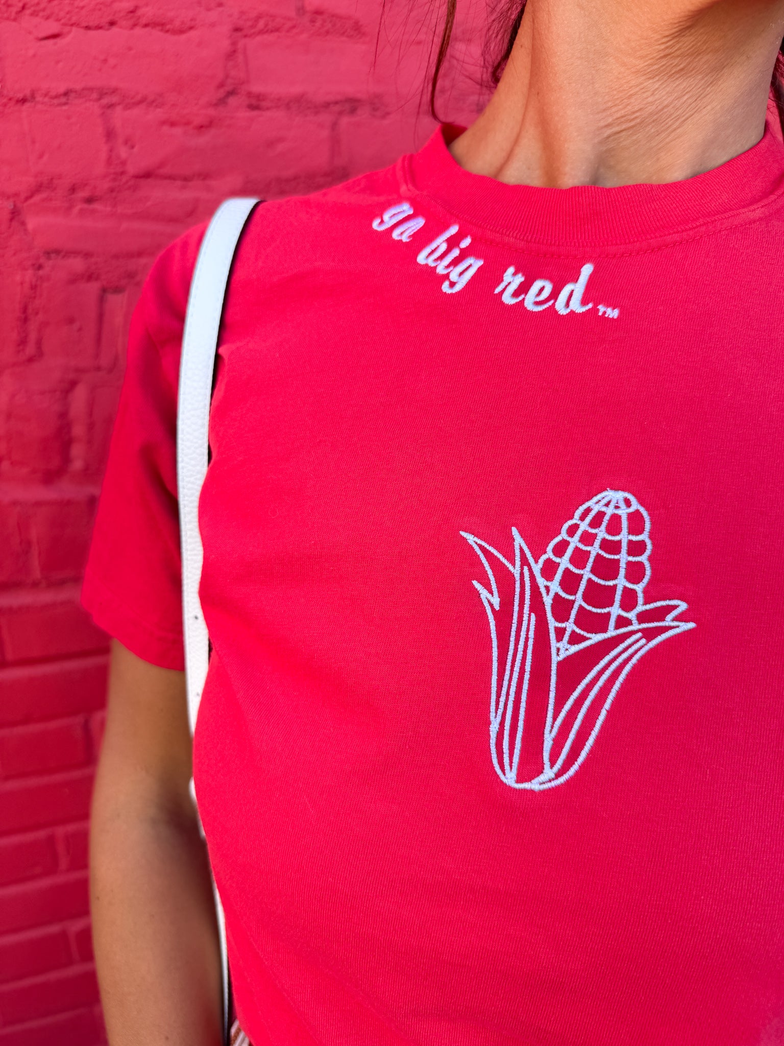 Go Big Red Embroidered Tee - Ana Patricia Boutique