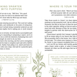 The Declutter Devotional - Ana Patricia Boutique