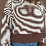 Contrast Trim Stripe Knit Sweater-Brown