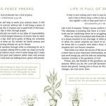 The Declutter Devotional - Ana Patricia Boutique