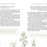 The Declutter Devotional - Ana Patricia Boutique